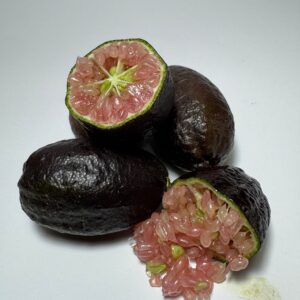 Limão Caviar Vermelho