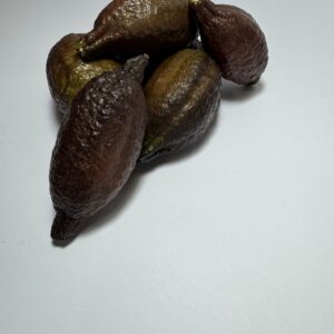 Limão Caviar Amarelo