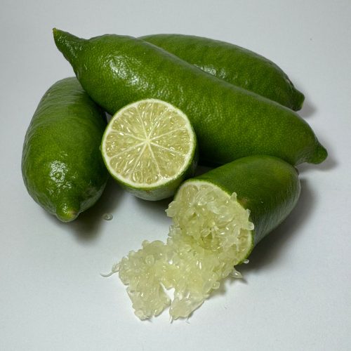 WhatsApp Image 2025-08-31 at 14.55.26