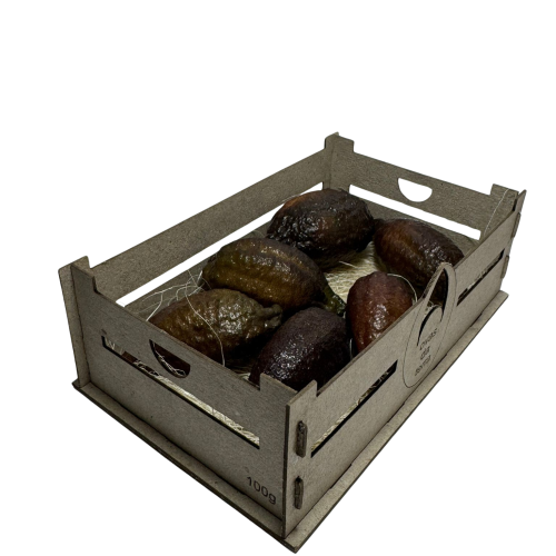 WhatsApp Image 2025-08-31 at 15.00.53 (2) - Editado